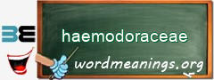 WordMeaning blackboard for haemodoraceae